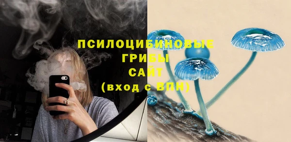эйфоретик Балахна