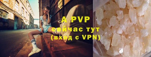 твердый Арсеньев
