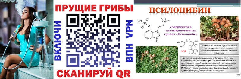 Псилоцибиновые грибы ЛСД Подпорожье